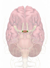 Optic Chiasm