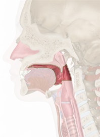Oropharynx
