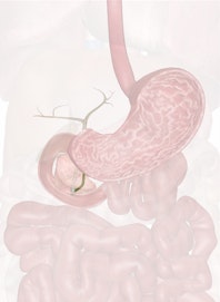 Pancreatic Duct