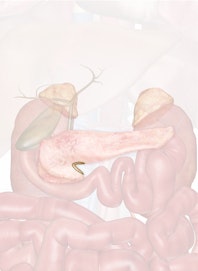 Pancreatic Notch