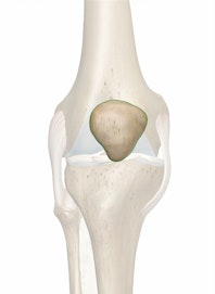 Patella