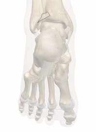 Posterior Tibiofibular Ligament