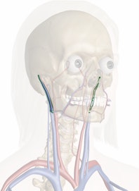 Retromandibular Vein