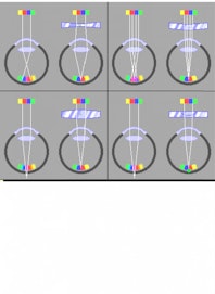 Reversed Image on Retina