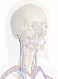 Right External Jugular Vein