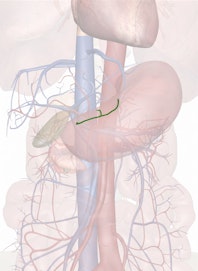 Right Gastric Vein