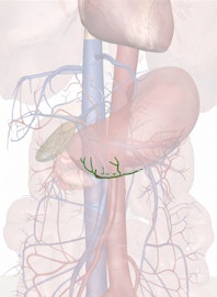 Right Gastroepiploic Artery