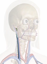 Right Internal Jugular Vein