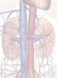 Right Suprarenal Vein