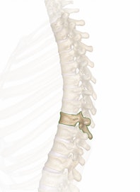 The T9 Vertebra