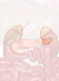 Tail of Pancreas