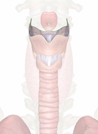 Thyrohyoid Membrane