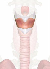 Thyroid Cartilage