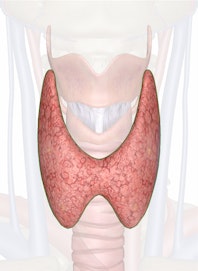 Thyroid Gland