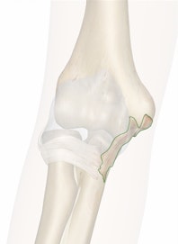 Ulnar Collateral Ligament of Elbow