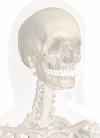 Zygomaticofacial Foramen