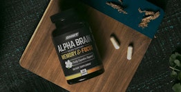 Alpha BRAIN Review