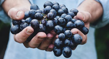 The Benefits of Going Organic