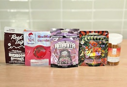 Best Amanita Muscaria Gummies