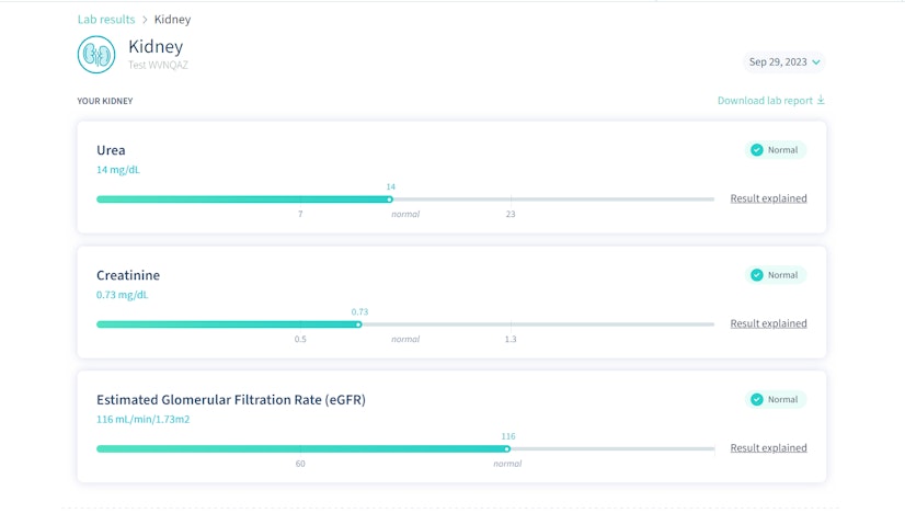 LetsGetChecked kidney test results