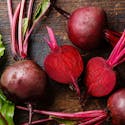 Best Beet Supplement