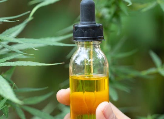 The Best CBD Oil