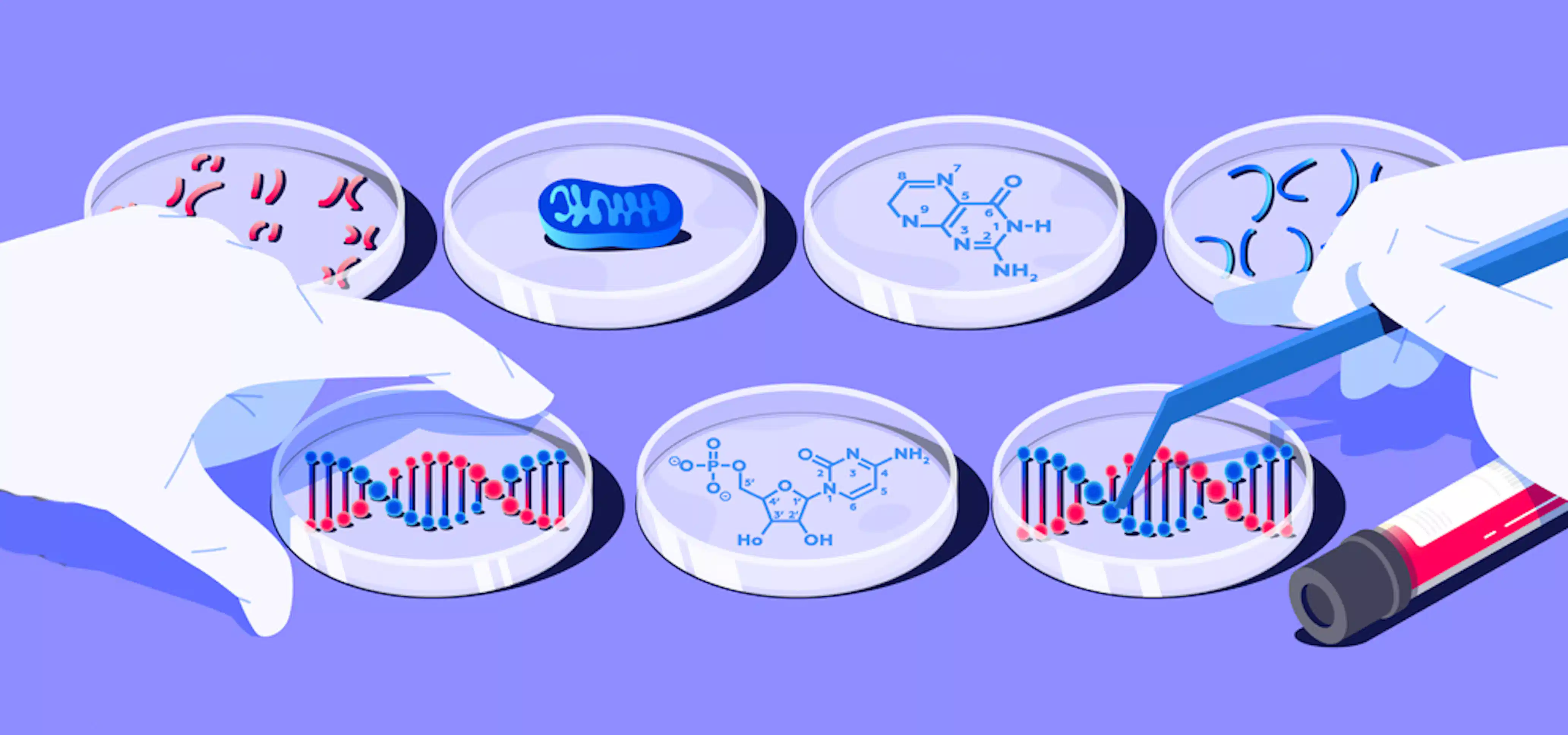 Illustration of How Much Does A Dna Health Test Cost