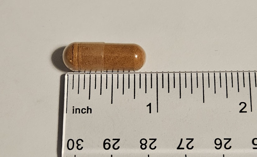 Zenwise Green Tea Extract Pill Size
