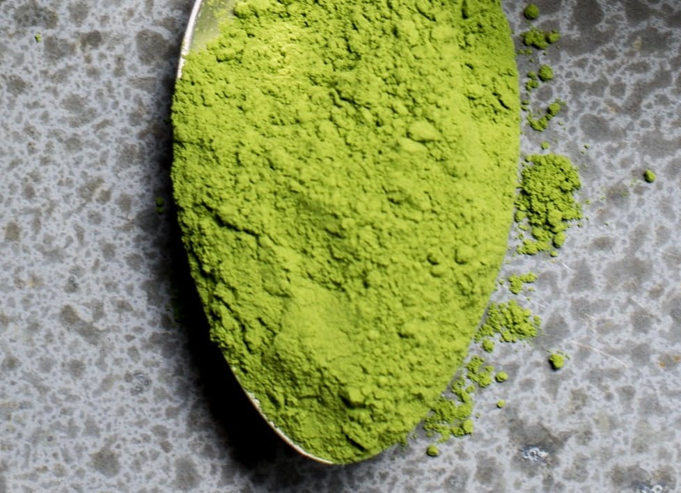 The Best Greens Powders of 2024: Your Ultimate Guide — Unstoppabl