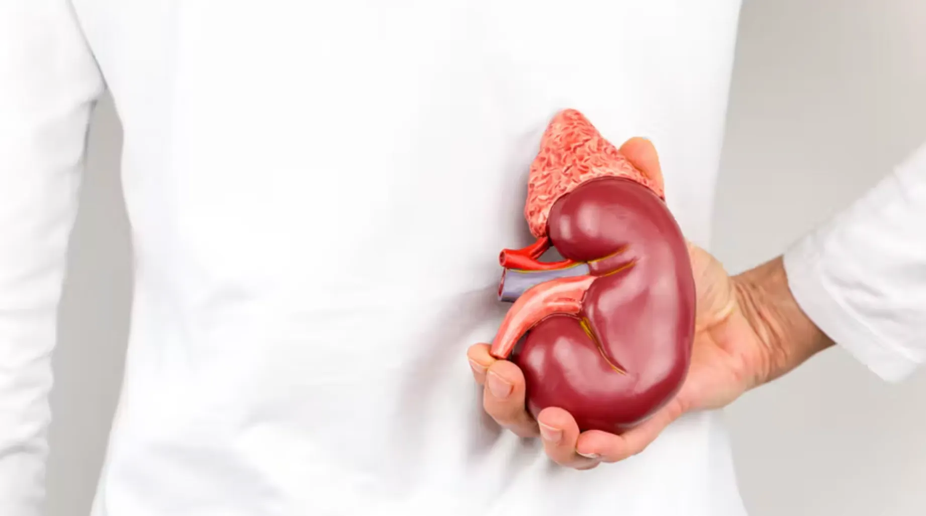 Best At-Home Kidney Test