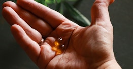 Best Krill Oil Supplements