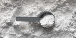 Best Pea Protein Powder