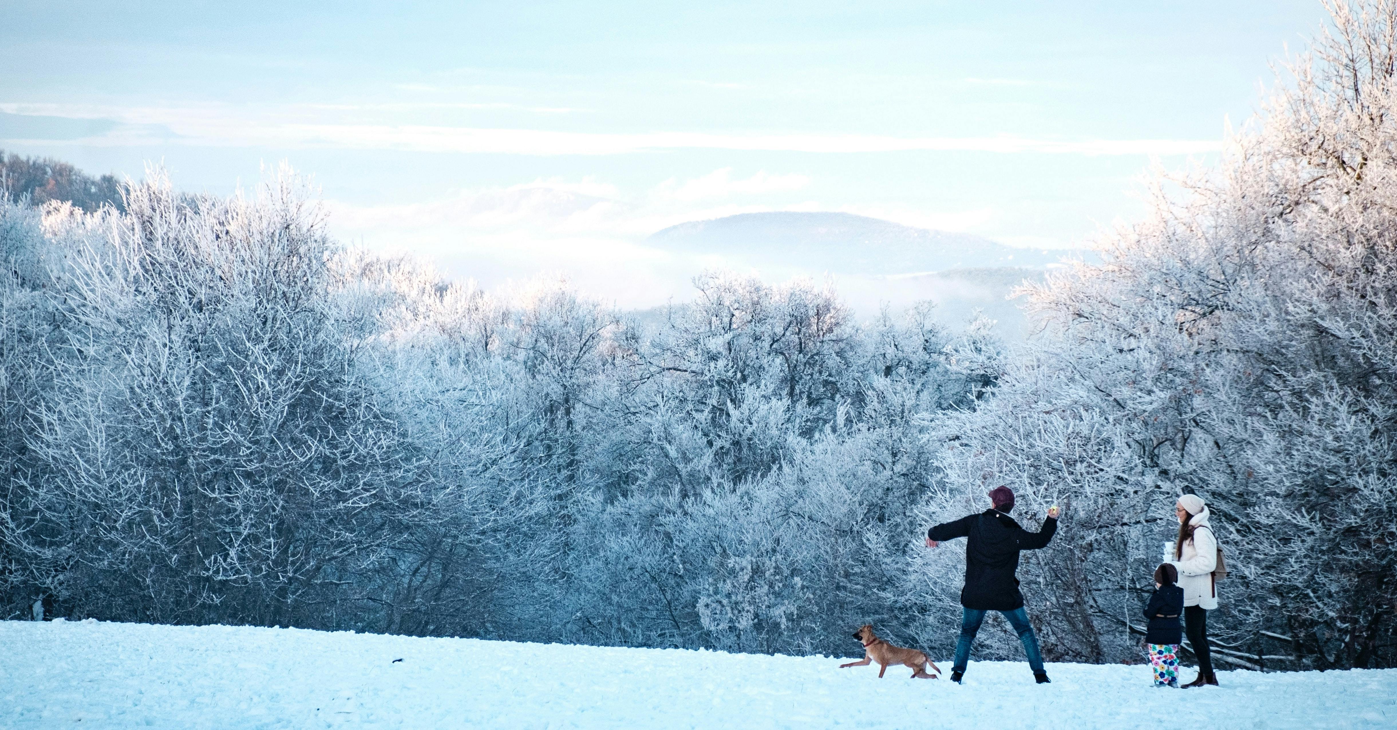 Which U.S. State is Most Popular for Winter Travel in 2023?