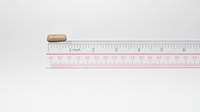 Bio X 4 Ruler Shot