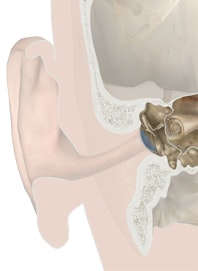 The Auditory Ossicles