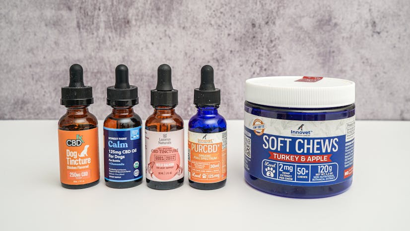 Best CBD for dogs