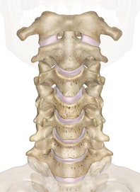 Cervical Vertebrae (Anterior View)