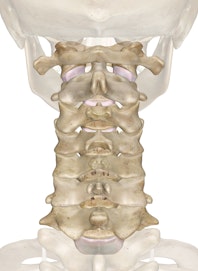 Cervical Vertebrae (Posterior View)