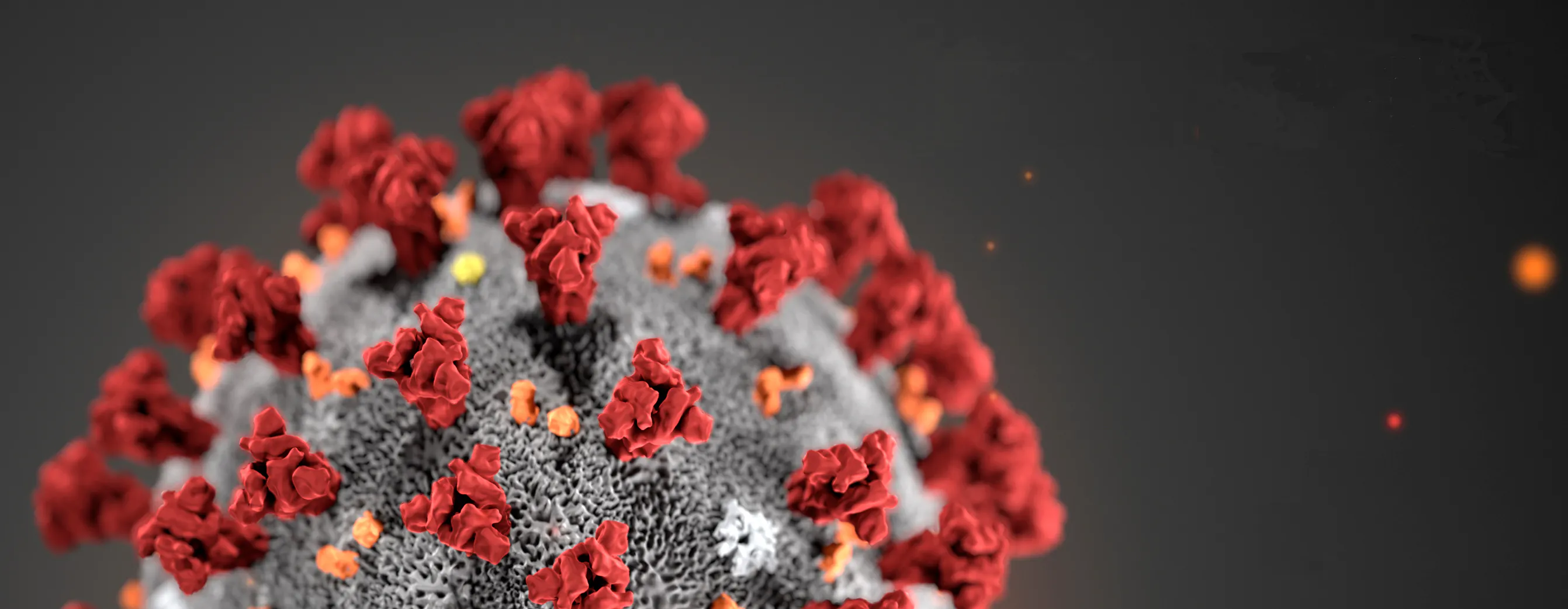 These states are the most vulnerable in a COVID-19 pandemic