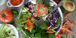 Dr. Gundry Review: All about Dr. Gundry’s diet advice and supplements