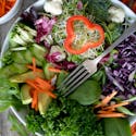 Dr. Gundry Review: All about Dr. Gundry’s diet advice and supplements