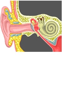 Ear Anatomy: Hearing, Balance & Equilibrium Functions