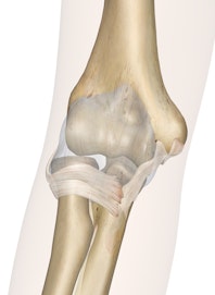 The Elbow Joint