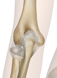 Elbow Joint (Posterior View)