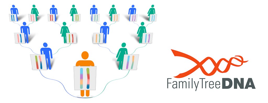 Family Tree Dna Review 2019 Ancestry Testing With Ftdna