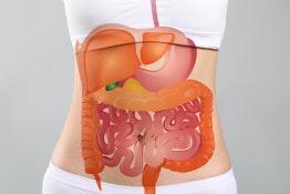 Food and Our Digestive Tract