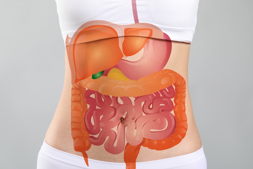 Food and our digestive system