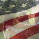 Resources for Gold Star Families: Finding Support and Guidance