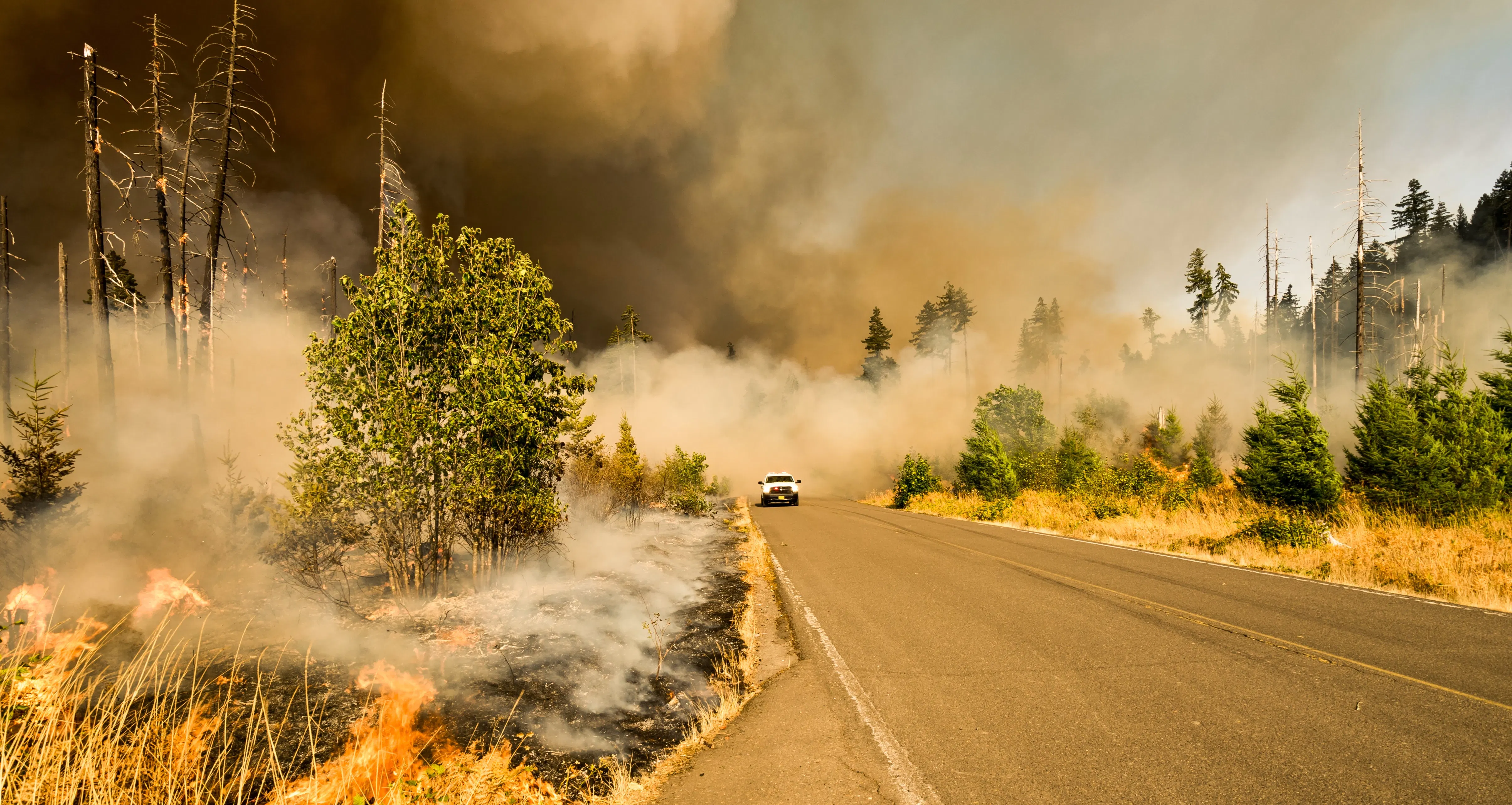 Guide to Emergency Preparedness and Disaster Recovery