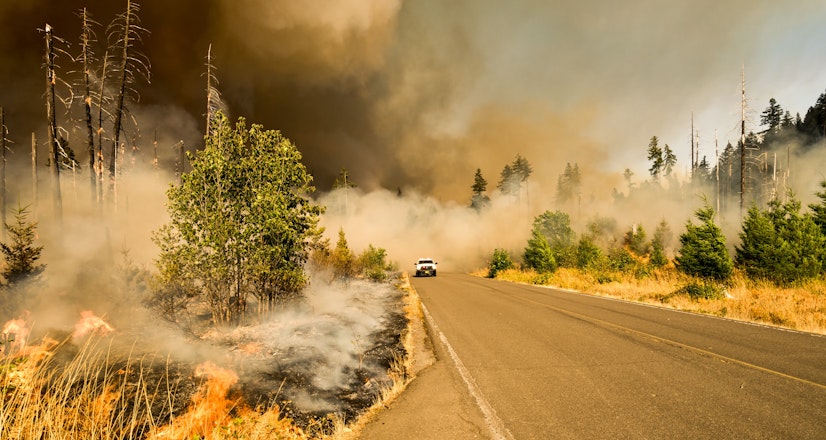 Emergency Preparedness and Disaster Recovery